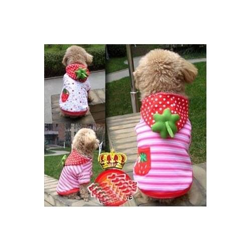 Sweety dog winter clothes strawberry puppy hoody coat dog padding jacket pet winter clothing