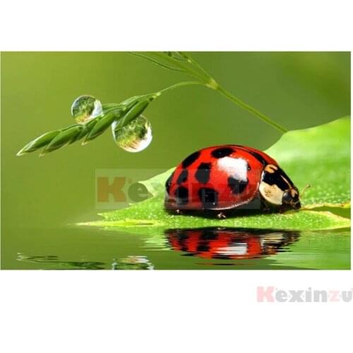 Kexinzu Full 5D DIY Square/Round Drill Diamond Painting "insect Animal" 3d Diamond Embroidery Cross Stitch Decor Gift Ke064