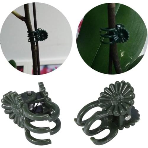30pcs Securing Clip Plastic Orchid Vine Garden Decoration Plant Farm Flowers Fruit Tied Bundle Branch Clamping Gardening Tool