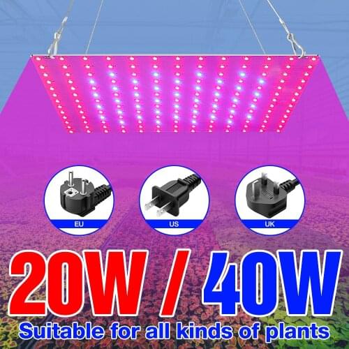 20W 40W Quantum Board LED Plant Light Grow Full Spectrum Fitolampy 220V Phytolamps For Seedlings Flower Growth Lighting Tent Box