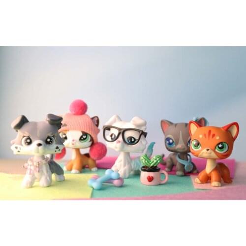 5pcs toys),Custom Made Elk Collie White Collie Flame Cat Firestar Cat Stripe Shorthair Cat With Accessories Kids Gift