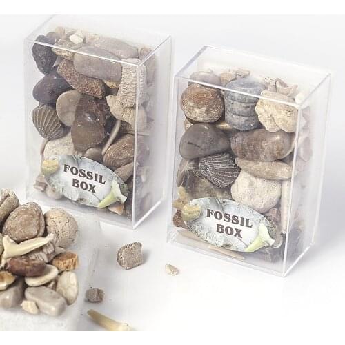 1 Box Mixed Fossil Ore Specimen Mineral Rock Specimen Geology Teaching Rock Specimen Material Best Gift for Children Science Toy