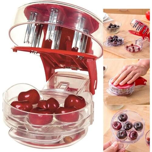 Cheery Cherries Pitter Seed Removing Tool Home Office Travel Fruit Stone Extractor