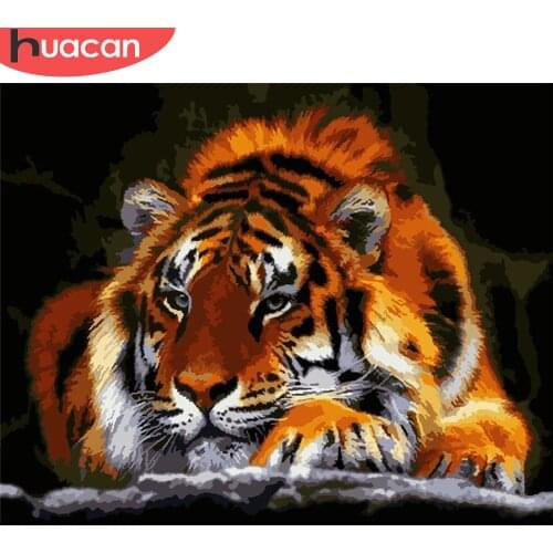 HUACAN DIY Painting By Number Tiger Pictures By Numbers Animal Kits Drawing On Canvas Hand Painted Paintings Art Gift Home Decor