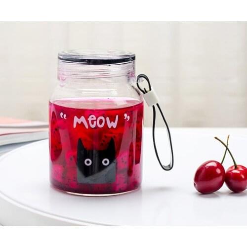 Creative Glass Cups for Coffee Tea Drinks Milk Tea Water Cups with Glass Cover Glass Bottle Drinking Cup Simple Design