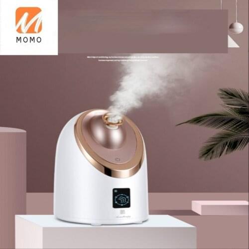 Facial Vaporizer Hot and Cold Double Spray Nano Water Sprayer Facial Steamer Household Facial Moisturizing SteamBeautyInstrument