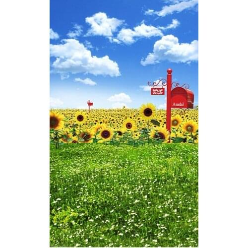 VinylBDS 6.5X10FT Spring Photography Backdrop Blue Sky Studio Backdrop Grassland Photo Background