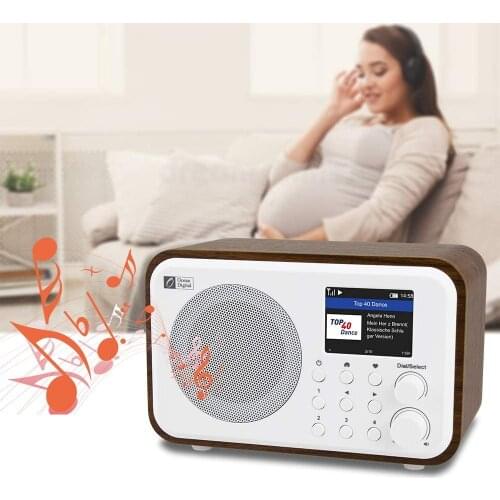 Ocean Digital WiFi Internet Radio WR-336N portable with rechargeable battery Bluetooth receiver 2.4-inch color display for phone