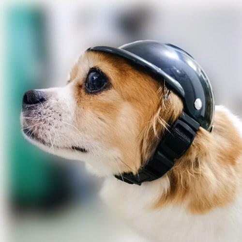 FGHGF Clothes And Footwear For Dogs