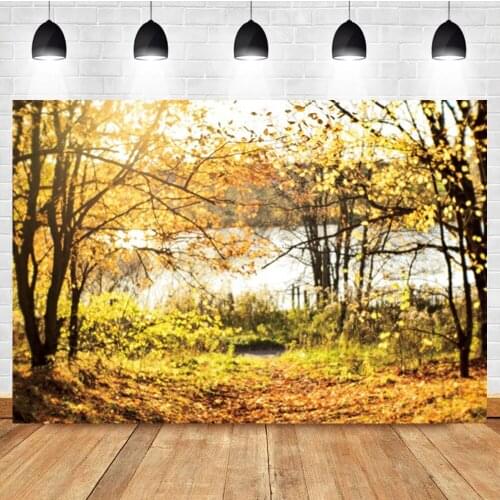 Laeacco Autumn Sunset River Forest Path Photo Photography Background Photographic Photography Backdrop For Photo Studio