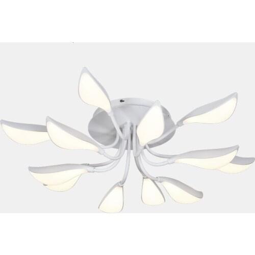 Contemporary House Luxury Decor Multi Double Color Ceiling Lights Indoor Modern Led Living Room Lighting