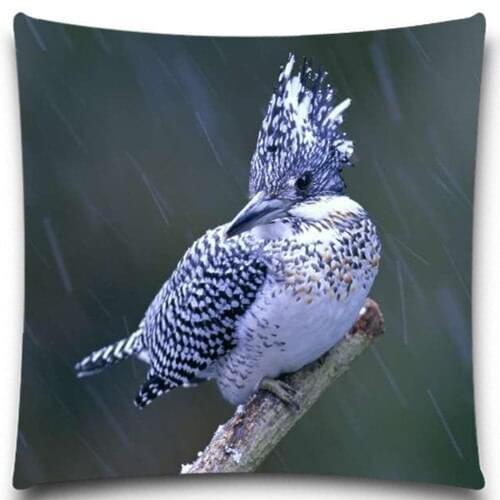 5 size 9 style Excellent Quality Soft Cushion cover Square Animal Owl Pillow Cases 18 x 18 inch