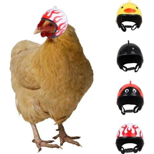 1PC Chicken Helmet Creative Small Pet Hard Hat Pet Chicken Helmet Bird Head Protector Supplies Hat Headgear Poultry Accessories