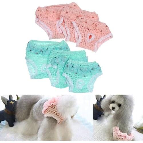 1Pc Pet Dog Diaper Physiological Pants Sanitary Panties Washable Female Dog Panties Shorts Underwear Lace Edge Pet Trousers