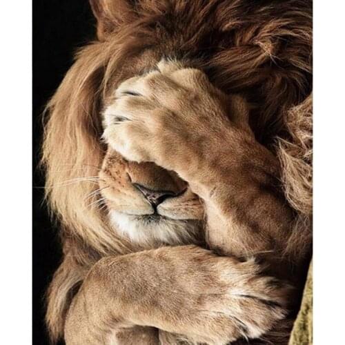 Lion diamond painting,Cross Stitch,Shy Lion,Diamond mosaic picture of Rhinestone Full square Diamond Embroidery animal ll441