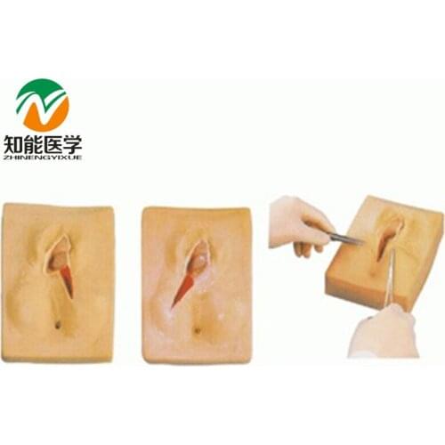 Chinon Medical Private Parts Vulva Pudendum Suture Training Model Medicine Student Medical Science Education BIX-F3B