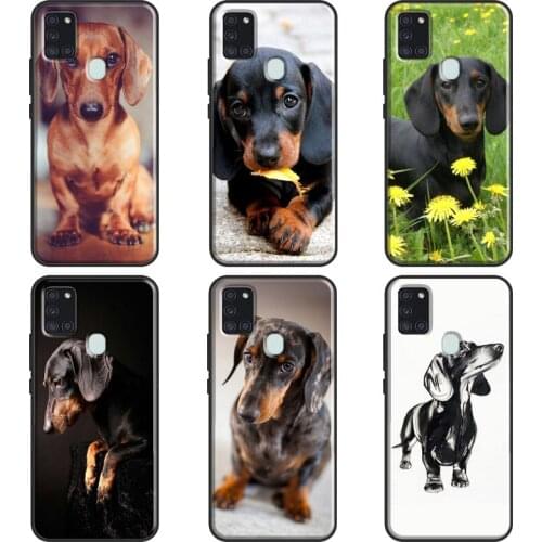 Dachshund Teckel Dackel Dog Case For Samsung Galaxy A51 A71 A10 A40 A50 A70 M21 M31 A11 A31 A30S A20e A21S Fundas