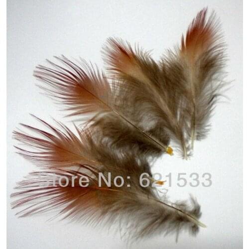 200Pcs/Lot 4-8cm Rusty Red Golden Pheasant Plumage Feathers for fascinators, bridal wear, crafts