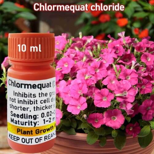 20 ml Cycocel Chlormequat Chloride CCC Bonsai Plant growth regulators Growing Delayed Growth Aid Fertilizer Garden Medicine