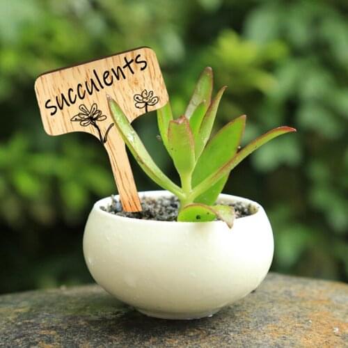 100PCS T-Shape Bamboo Plant Labels Wood Sign Tags Garden Flowers Markers Tool Accessories Wooden Plant Tags Nursery Pots Seeding