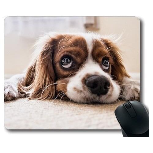 Dog Lover Mouse Pad,Dog Sad Waiting Floor Sad Dog Pet Puppy Animal,dogs mouse mat