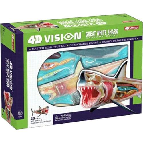 Animal biology shark organs anatomy 4D master puzzle assembly toys Medical models
