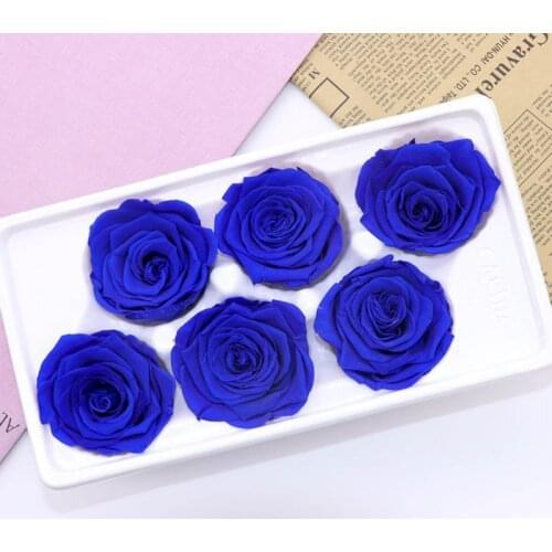 6 Roses Dried Flower Flower Head Eternal Flower B-class Wedding Family Decoration Valentines Day Mothers Day gift