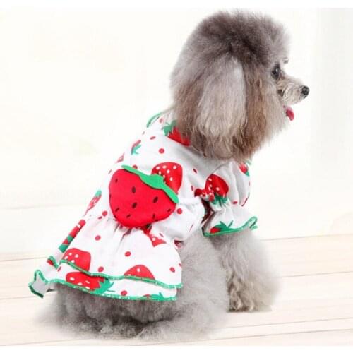 Spring Summer Autumn Pet Dog Clothes Cute Strawberry Print Dog Skirt Dog Clothe Pet Supplies Accessories