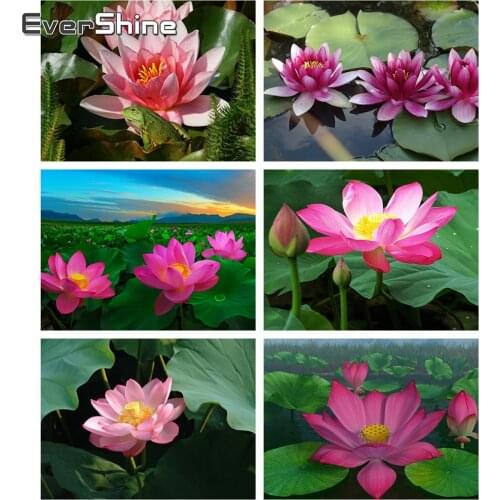 Evershine Diamond Painting Flowers Full Square Drill Lotus Diamond Embroidery Full Set Cross Stitch Mosaic Full Layout Craft Kit