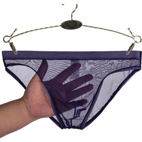 Mens Low Rise Underwear Sexy See-through Silk Briefs Mesh Sheer Pouch Stretchy Seamless Panties Thongs Underwear Male Lingerie