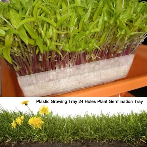 5Pcs 24 Cells Seedling Nursery Tray Durable Reusable Plastic Plant Germination Tray Flower Succulent Green Plant Grow Tray