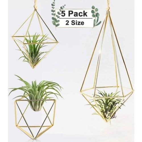 5 Packs Air Plant Holder Mini Metal Tabletop Himmeli Decor Modern Geometric Planter Tillandsia Air Fern Display Stand