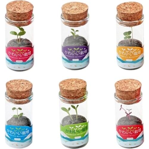 Creative Pots Vase DIY Seed Planting Herb Plants Cultivate Garden Home Decor