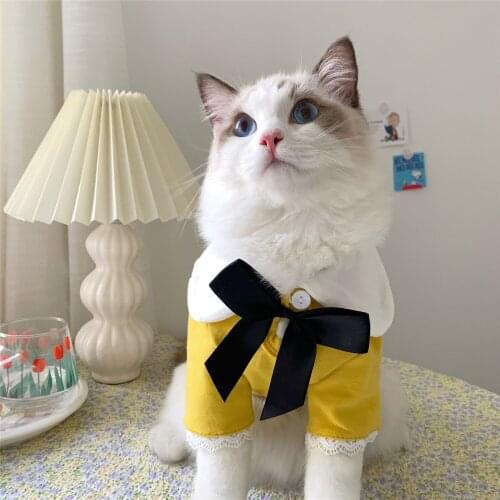 New Year Autumn Winter Sweater Warm Dog Cat Clothes Kitten Puppy Clothes Pretty Hoodies Cute Pet Costume