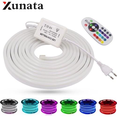 RGB Neon Strip 220V EU UK AU 110V US With 750W Controller +IR Remote Ribbon Tape Flexible LED Neon Light Lamp SMD 5050 LED Strip