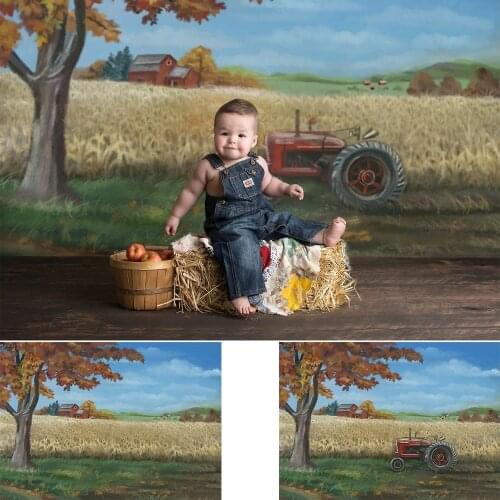Farm Hand Painted Themd Photography Backdrop Newborn Baby Birthday Portrait Background Fall Oil Painting Photo Shoot Photocall