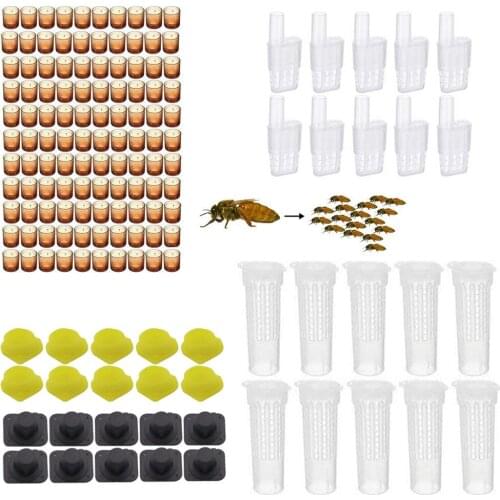 Complete bees rearing kit system bee tools set cages plastic cells protection cover cage base celular rooms supplier equipment