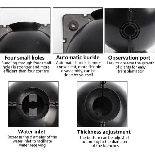 Plant Rooting Device High Pressure PP Plant Rooting Box Grafting Ball Boxes Growing Breeding Case Dropshipping Normal