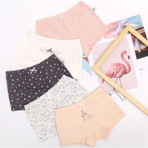 5pcs Korean Princess Underwear for Girls Kids Breathable Boxers Teenage cotton Underpants Children Physiological Period Shorts