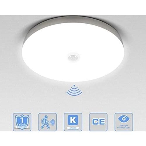 BOLXZHU Ceiling Lamps
