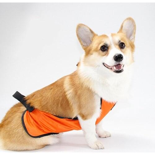 Pet Dog Clothes Winter Protect Corgi Tummy For Small Short Leg Dogs Pets Clothing French Bulldog Pug Waterproof Apron Supplies