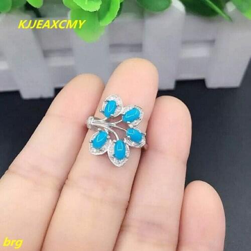 KJJEAXCMY Fine jewelry 925 Silver Natural Beauty Turquoise Lady Ring High Porcelain Blue