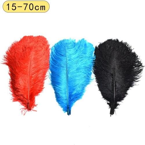 5color 10Pcs 15-70CM Natural Large Ostrich Feathers For Crafts DIY Plume Big White Black Long Feather Party Wedding Decoration