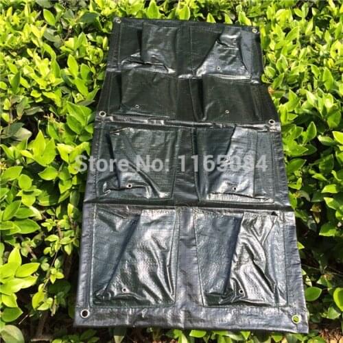 Pocketgarden Houseplant Seeds