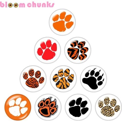 Tiger Bear claw 10pcs mixed 12mm/18mm/20mm/25mm Round photo glass cabochon demo flat back Making findings S4318