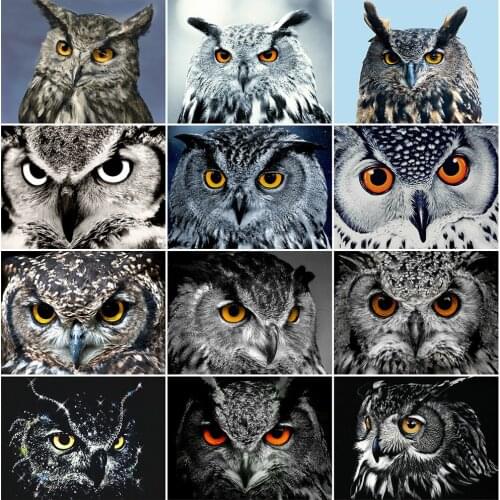 EverShine 5D DIY Diamond Mosaic Owl Cross Stitch Set Diamond Embroidery Animal Full Square Art Painting Rhinestone Handmade Gift
