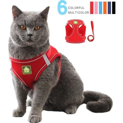 Breathable Pet Dog And Cat collar accessories Adjustable Dog Leash Harness For Small Dog Harness Vest With Custom