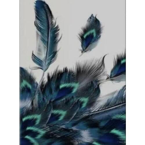 Full Square/Round 5D DIY Diamond Painting Blue feather Diamond 3D Embroidery Pattern Mosaic Rhinestones Art Stickers Decor DF481