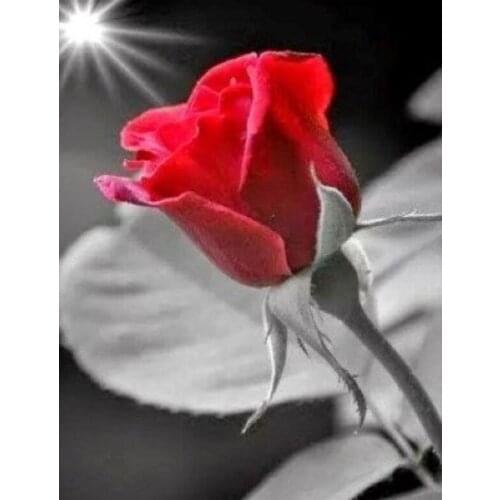 Diamant Painting Rose flower 5D Diamond Painting Mosaic Cross Stitch Diamond Painting Full Drill