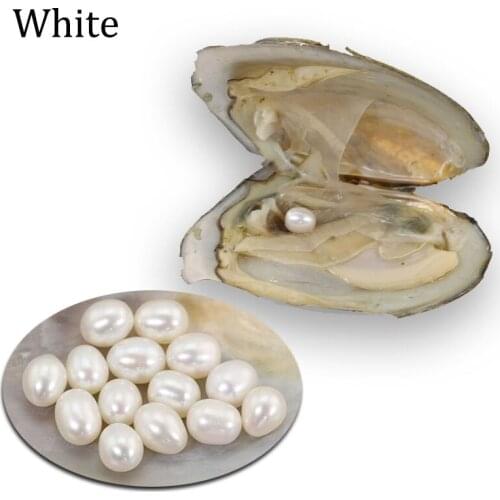 White Natural Rice Pearls in Oyster 6-7mm Wholesale Love Wish Individual Wrapped Oyster Freshwater Pearl Gifts 10pcs FP140